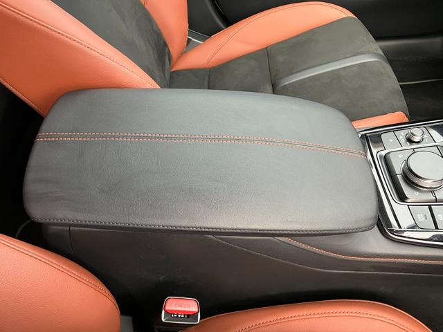 ＣＸ－３０ ＸＤ　レトロスポーツエディション（44枚目）