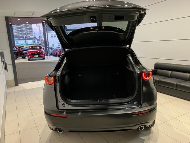 CX-30 20S プロアクティブ ツーリングセレクション(5枚目)