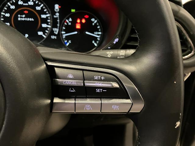 CX-30 20S プロアクティブ ツーリングセレクション(22枚目)