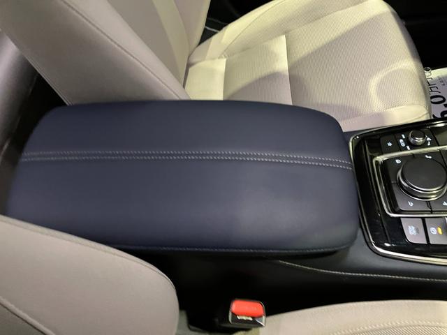 CX-30 20S プロアクティブ ツーリングセレクション(46枚目)