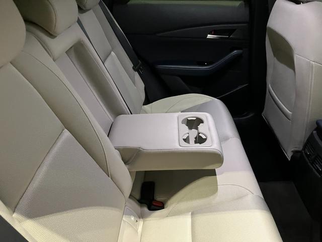 CX-30 20S プロアクティブ ツーリングセレクション(55枚目)