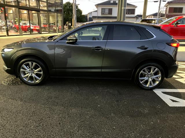 CX-30 20S プロアクティブ ツーリングセレクション(61枚目)