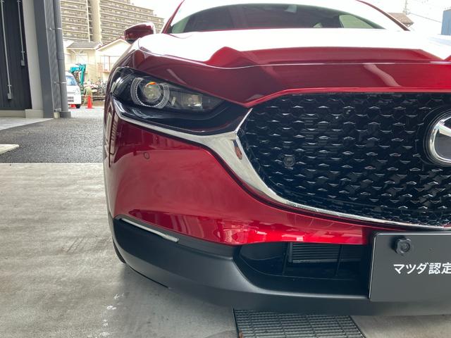 CX-30 20S プロアクティブ ツーリングセレクション 360°セーフティーパッケージ(11枚目)