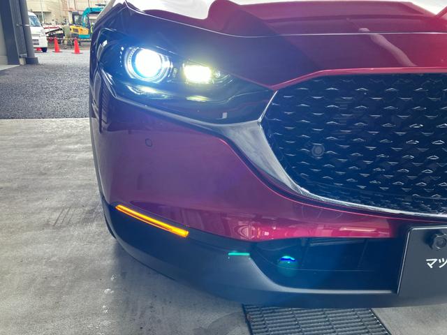 CX-30 20S プロアクティブ ツーリングセレクション 360°セーフティーパッケージ(12枚目)