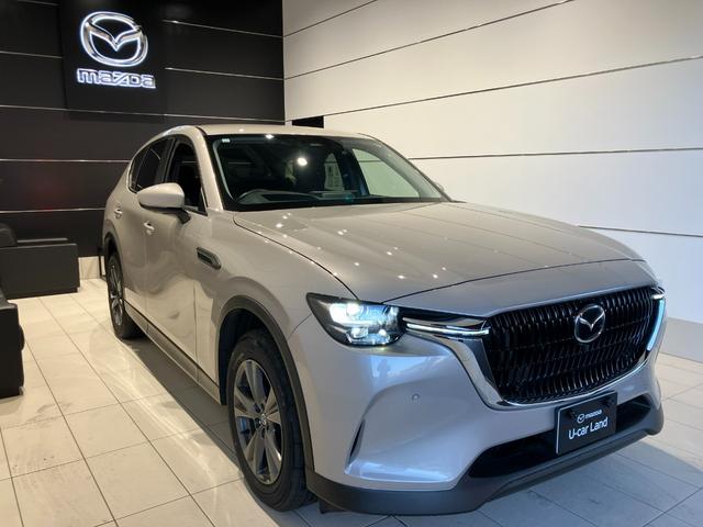 CX-60 XD Sパッケージ 12.3インチセンターディスプレイ ハンズフリー機能付パワーリフトゲート サイドカーゴネット(3枚目)