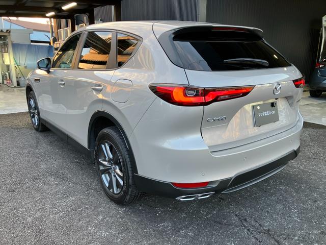 CX-60 XD Sパッケージ 12.3インチセンターディスプレイ ハンズフリー機能付パワーリフトゲート サイドカーゴネット(5枚目)