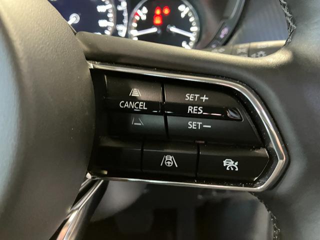 CX-60 XD Sパッケージ 12.3インチセンターディスプレイ ハンズフリー機能付パワーリフトゲート サイドカーゴネット(37枚目)