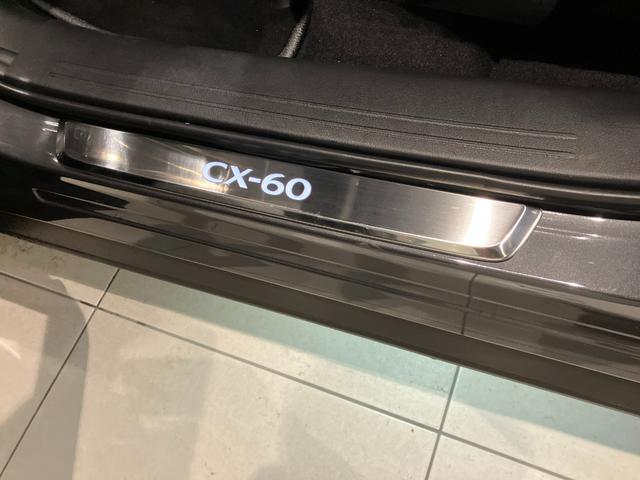 CX-60 XD Lパッケージ ボーズサウンドシステム(AUDIOPILOT2+Centerpoint2) 12スピーカー 地上デジタルTVチューナー(フルセグ)(32枚目)