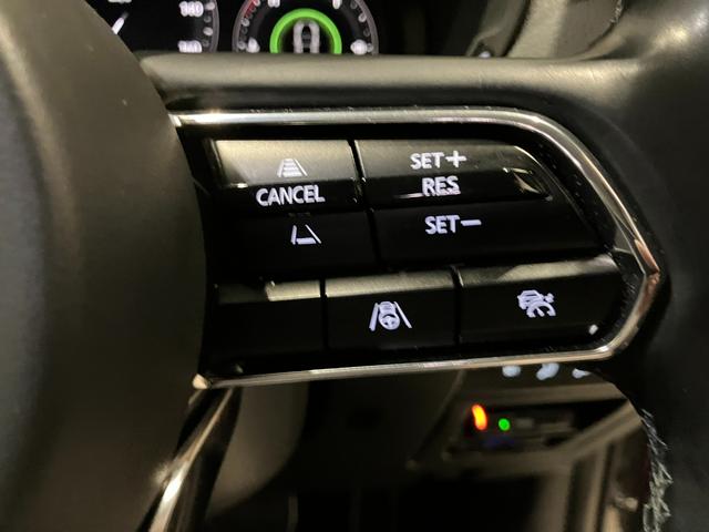 CX-60 XD Lパッケージ ボーズサウンドシステム(AUDIOPILOT2+Centerpoint2) 12スピーカー 地上デジタルTVチューナー(フルセグ)(37枚目)