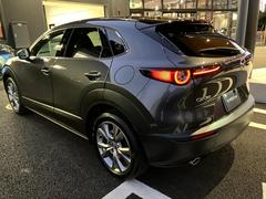 �ãءݣ��� �����ӡ��ץ������ƥ��֡��ġ���󥰥��쥯����� 0507996A30251110W001 3