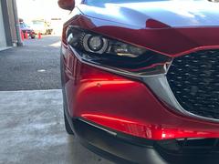 ãءݣ ӡ̥ѥå륻եƥѥåɥ饤ӥ󥰥ݥ󥵥ݡȥѥåã 0507996A30251121W001 2