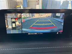 ãءݣ ӡ̥ѥå륻եƥѥåɥ饤ӥ󥰥ݥ󥵥ݡȥѥåã 0507996A30251121W001 4