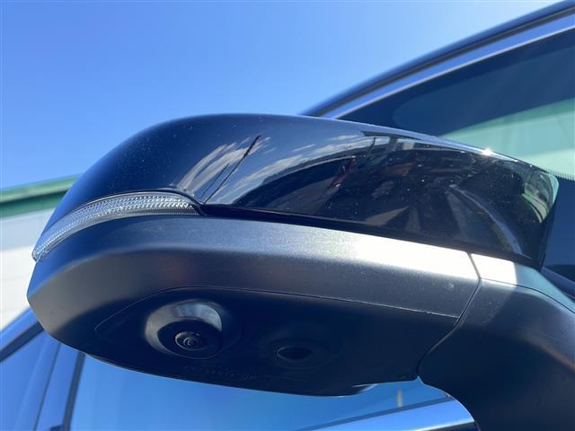 アルファード Z ◇純正ナビ(AM/FM/BT)・フルセグTV◇アラウンドビューモニター◇プリクラッシュセーフティ◇追従付きクルーズコントロール◇ロードサインアシスト◇(フロント/リアクロス)トラフィックアラート(36枚目)