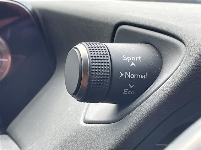 �y�I�[�g���[���z�x�����񐔂��P�Q�O�񕥂��\�I�{�[�i�X�̕��p�������I�ׁA�U�񂩂�P�Q�O�񕥂��܂Ŏ��R�ɐݒ�o���܂��B