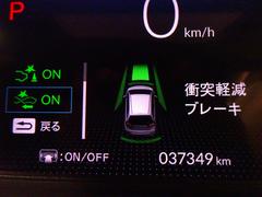 ���ͷڸ��֥졼���դ��ۥ�����󥷥󥰤Ǥ��� 3