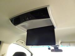 ���ǥå��� ���֥��롼�ȡ��ţء��ر졡�������������ʥӣԣ֡������������������ꥢ��� 0508008A30260326W002 3