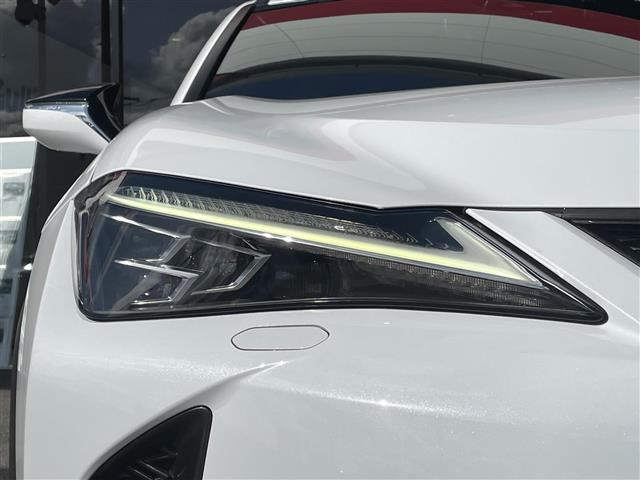 ＵＸ ＵＸ２５０ｈ　Ｆスポーツ　三眼ＬＥＤ　サンルーフ　革シート　Ｂカメラ（9枚目）