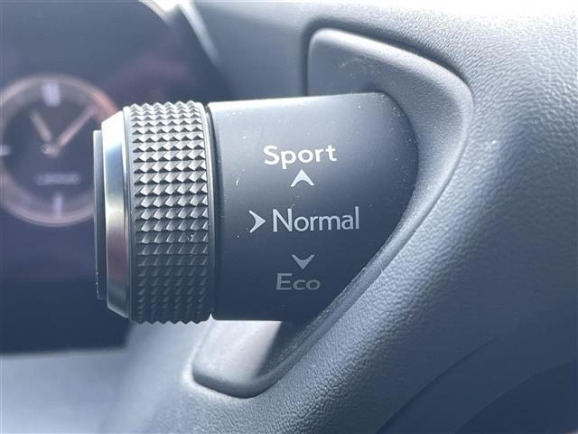 ＵＸ ＵＸ２５０ｈ　Ｆスポーツ　三眼ＬＥＤ　サンルーフ　革シート　Ｂカメラ（11枚目）