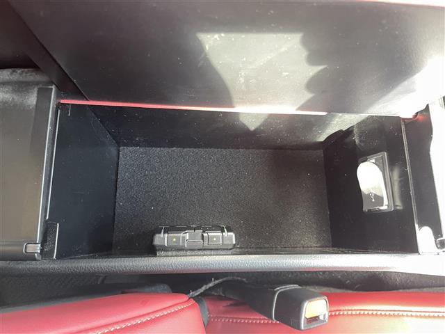 ＵＸ ＵＸ２５０ｈ　Ｆスポーツ　三眼ＬＥＤ　サンルーフ　革シート　Ｂカメラ（18枚目）