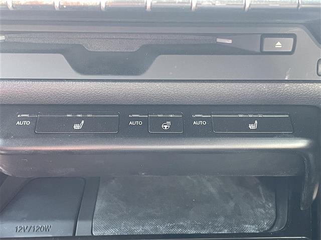 ＵＸ ＵＸ２５０ｈ　Ｆスポーツ　三眼ＬＥＤ　サンルーフ　革シート　Ｂカメラ（19枚目）