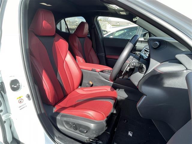 ＵＸ ＵＸ２５０ｈ　Ｆスポーツ　三眼ＬＥＤ　サンルーフ　革シート　Ｂカメラ（22枚目）