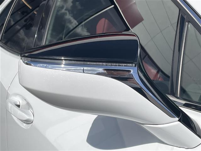 ＵＸ ＵＸ２５０ｈ　Ｆスポーツ　三眼ＬＥＤ　サンルーフ　革シート　Ｂカメラ（33枚目）