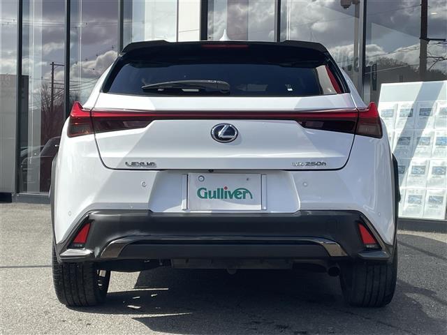 ＵＸ ＵＸ２５０ｈ　Ｆスポーツ　三眼ＬＥＤ　サンルーフ　革シート　Ｂカメラ（34枚目）