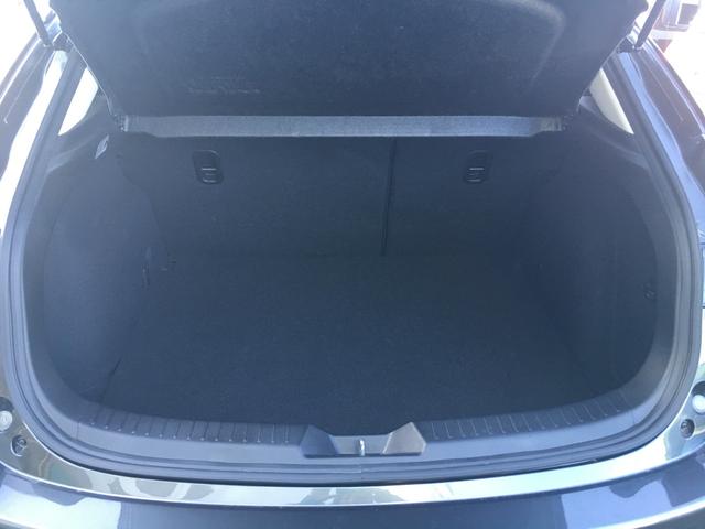 22XD Lパッケージ BOSE サンルーフ 黒革シート(15枚目)