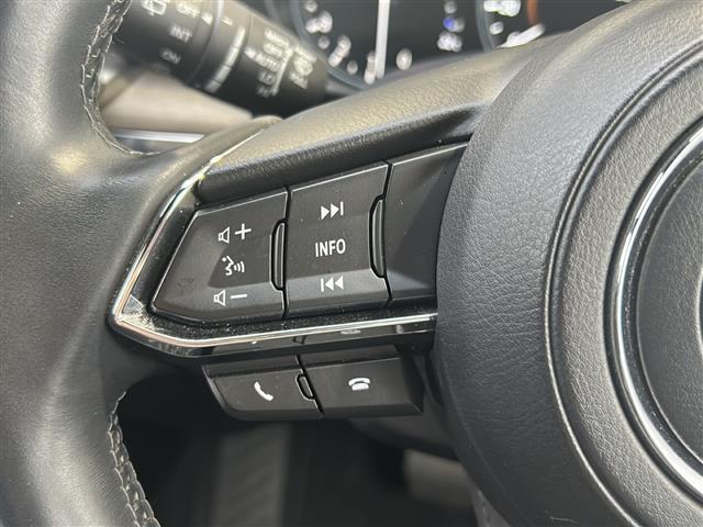 ＣＸ－８ ２５Ｓ　Ｌパッケージ　純正ナビ　レーダークルーズコントロール　ドライブレコーダー　全方位カメラ　ＥＴＣ　パワーバックドア　ルーフレール　レーンキープアシスト　シートヒーター　エアシート　ハンドルヒーター　コーナーセンサー（9枚目）