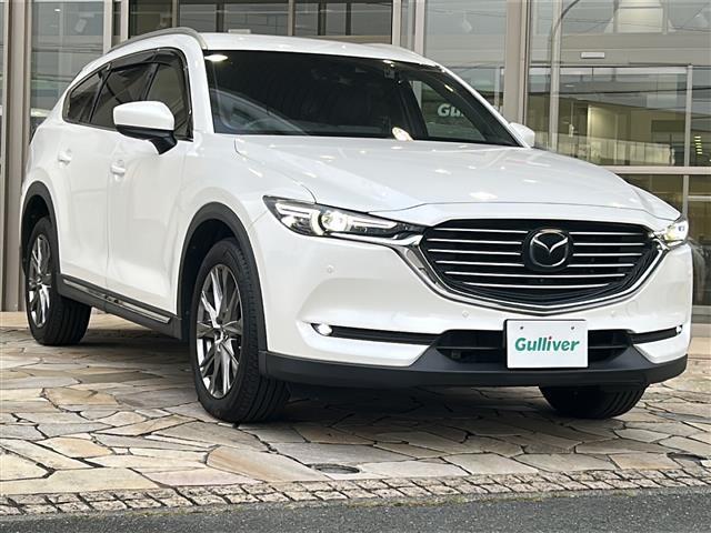 ＣＸ－８ ２５Ｓ　Ｌパッケージ　純正ナビ　レーダークルーズコントロール　ドライブレコーダー　全方位カメラ　ＥＴＣ　パワーバックドア　ルーフレール　レーンキープアシスト　シートヒーター　エアシート　ハンドルヒーター　コーナーセンサー（31枚目）