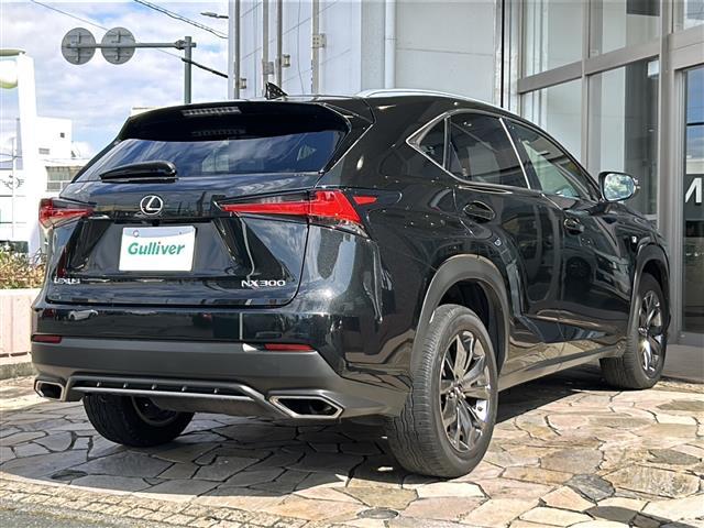 ＮＸ ＮＸ３００　Ｆスポーツ　ナビ・サンルーフ・衝突軽減・レーンキープ・追従クルコン・全方位カメラ・ＢＳＭ・パワーバックドア・ルーフレール・レザーシート・パワーシート・シートヒーター・エアシート・ＥＴＣ２．０・ドラレコ（35枚目）