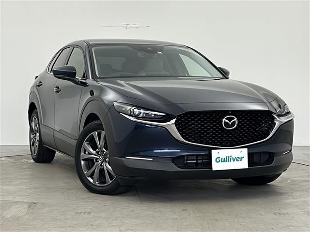 ＣＸ－３０ Ｘ　プロアクティブ　ツーリングセレクション　ＳＤナビ　３６０℃マルチビューモニター　衝突被害軽減ブレーキ　純正１８インチアルミホイール　フルセグＴＶ　ＬＥＤヘッドライト　シートヒーター　スマートキー　キーレス　電動格納ミラー　ＥＴＣ（28枚目）