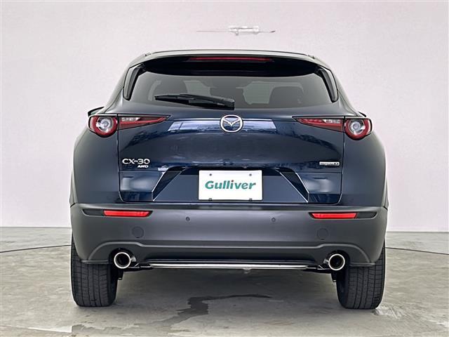 ＣＸ－３０ Ｘ　プロアクティブ　ツーリングセレクション　ＳＤナビ　３６０℃マルチビューモニター　衝突被害軽減ブレーキ　純正１８インチアルミホイール　フルセグＴＶ　ＬＥＤヘッドライト　シートヒーター　スマートキー　キーレス　電動格納ミラー　ＥＴＣ（32枚目）