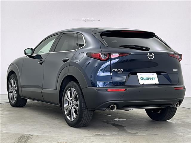 ＣＸ－３０ Ｘ　プロアクティブ　ツーリングセレクション　ＳＤナビ　３６０℃マルチビューモニター　衝突被害軽減ブレーキ　純正１８インチアルミホイール　フルセグＴＶ　ＬＥＤヘッドライト　シートヒーター　スマートキー　キーレス　電動格納ミラー　ＥＴＣ（33枚目）