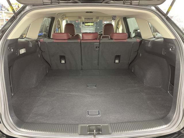 レヴォーグ 1.6STIスポーツアイサイト ・4WD/アイサイト・衝突被害軽減ブレーキ・純正SDナビ・フルセグTV/CD/DVD/BT)・バックカメラ・レーダークルーズコントロール・ブラインドスポットモニタリング・レザーシート・(27枚目)