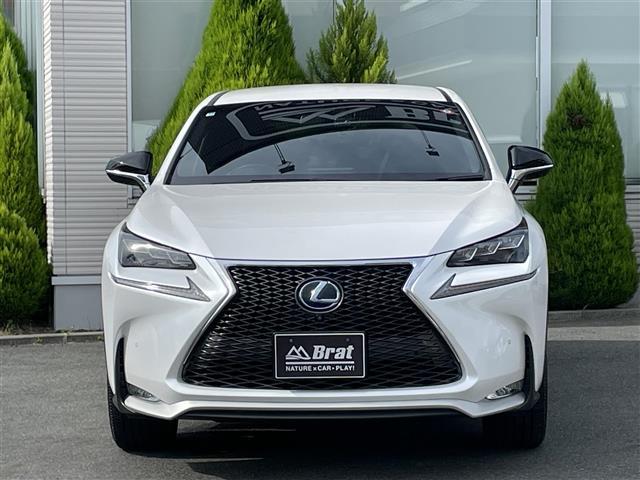 ＮＸ ＮＸ３００ｈ　Ｆスポーツ　純正ＳＤナビ（フルセグＴＶ／ＣＤ／ＤＶＤ／Ｂｌｕｅｔｏｏｔｈ）全方位カメラレーダークルーズコントロールパドルシフトステアリングヒーター前後ドライブレコーダーシートヒーターベンチレーシートメモリーシート（29枚目）