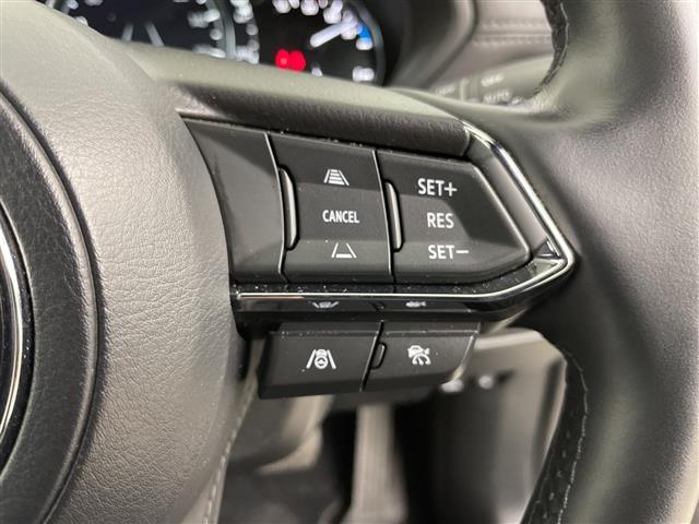 ＣＸ－８ ＸＤ　スポーツアピアランス　ワンオーナー・・ＢＯＳＥサウンドシステム・純正ＳＤナビ　　（ＡｐｐｌｅｃａｒＰｌａｙ／Ａｎｄｒｏｉｄ　Ａｕｔｏ／ＢＴ／フルセグ）・アドバンスドスマートブレーキサポート・追従クルーズコントロール（16枚目）