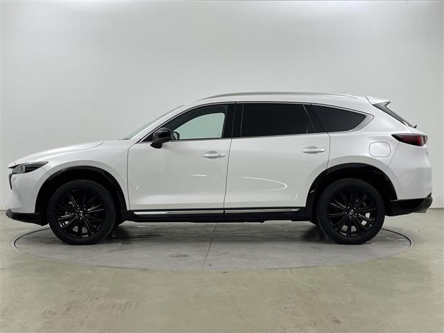 ＣＸ－８ ＸＤ　スポーツアピアランス　ワンオーナー・・ＢＯＳＥサウンドシステム・純正ＳＤナビ　　（ＡｐｐｌｅｃａｒＰｌａｙ／Ａｎｄｒｏｉｄ　Ａｕｔｏ／ＢＴ／フルセグ）・アドバンスドスマートブレーキサポート・追従クルーズコントロール（34枚目）