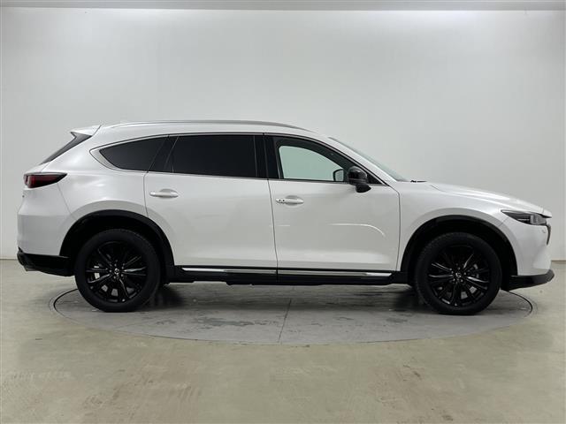 ＣＸ－８ ＸＤ　スポーツアピアランス　ワンオーナー・・ＢＯＳＥサウンドシステム・純正ＳＤナビ　　（ＡｐｐｌｅｃａｒＰｌａｙ／Ａｎｄｒｏｉｄ　Ａｕｔｏ／ＢＴ／フルセグ）・アドバンスドスマートブレーキサポート・追従クルーズコントロール（35枚目）