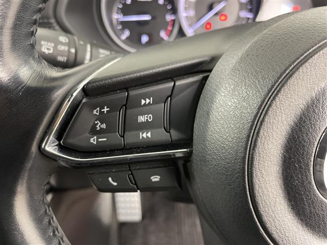 ＣＸ－８ ＸＤプロアクティブ　４ＷＤ・純正ＳＤナビ・３６０°ビューモニター・スマートブレーキサポート・レーダークルーズコントロール・ブラインドスポットモニター・パワーバックドア・ステアリングスイッチ／ヒーター・電動パーキング（14枚目）