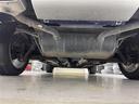 オーテック　ｉパッケージ　・４ＷＤ・プロパイロット・エマージェンシーブレーキ・レーダークルーズコントロール・純正ディーラーＯＰナビ・ＤＶＤ．ＣＤ．ＳＤ．Ｂｌｕｅｔｏｏｔｈ・フルセグ／バックカメラ　・パワーバックドア（41枚目）