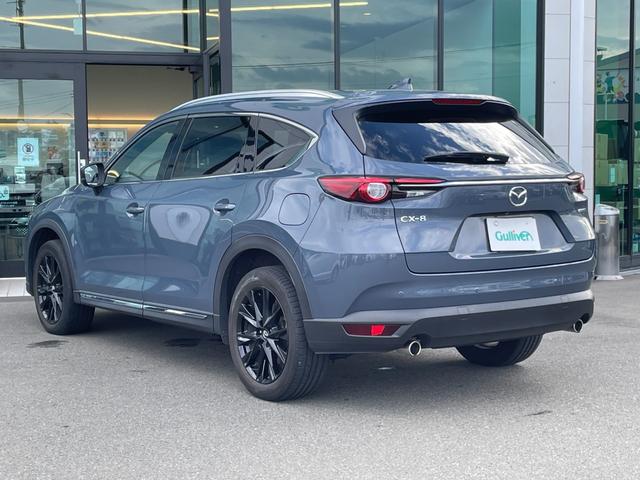 ＣＸ－８ ＸＤ　ブラックトーンエディション　サンルーフ純正ナビ３６０°ビューモニターフルセグＥＴＣドライブレコーダーＢＯＳＥサウンドルーフレールシートヒーターステアリングヒーターコーナーセンサーハーフレザーシート　３６０ビュー　電動リヤゲート（63枚目）