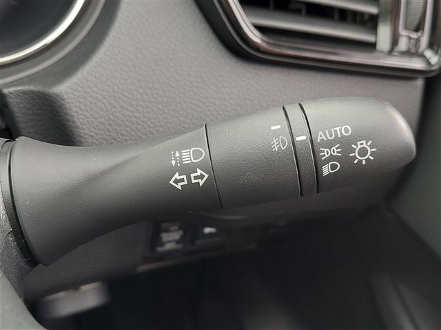 エクストレイル ２０Ｘｉ　アラウンドビューモニター　プロパイロット　衝突軽減ブレーキ　純正ナビ　ＥＴＣ　ドライブレコーダー　パワーシート　シートヒーター　パワーバックドア　インテリジェントルームミラー　純正アルミホイール（20枚目）