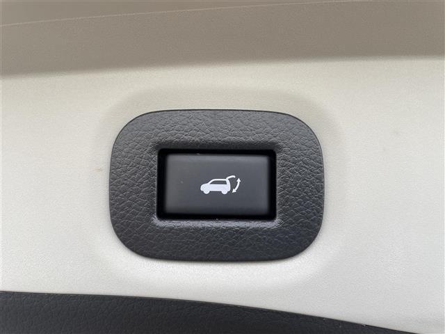 エクストレイル ２０Ｘ　４ＷＤ　社外メモリナビ　フルセグ　バックカメラ　ＥＴＣ　パワーテールゲート　ルーフレール　エマージェンシーブレーキ　コーナーセンサー　スマートキー　アイドリングストップ　純正１８インチＡＷ　ＶＳＡ（13枚目）