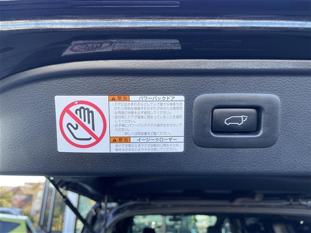 ヴェルファイア 2.5Z Aエディション ゴールデンアイズ アルパイン11型ナビ アルパイン12.8型後席モニター アルパインビルトインカーアロマ プリクラッシュセーフティ レーダークルーズコントロール TEIN車高調 スペアタイヤ ワンオーナー Bカメ 3列(24枚目)