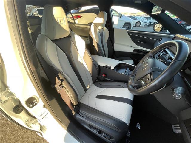 ＥＳ ＥＳ３００ｈ　Ｆスポーツ　ムーンルーフ　純正１２．３インチナビ　パノラミックビューモニター　フルセグ　ビルトインＥＴＣ２．０　ヘッドアップディスプレイ　置くだけ充電　三眼ＬＥＤヘッドライト　３６０カメラ　シートクーラー　地デジ（29枚目）