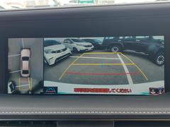 �ڥѥΥ�ߥå��ӥ塼��˥����ۥ���ޤ򿿾夫�鸫����������������֤򥵥ݡ��Ȥ��ޤ�������ޤμФ����俿���ʤɡ������᤯�㳲ʪ�˵����դ����Ȥ��Ǥ��ޤ��� 3