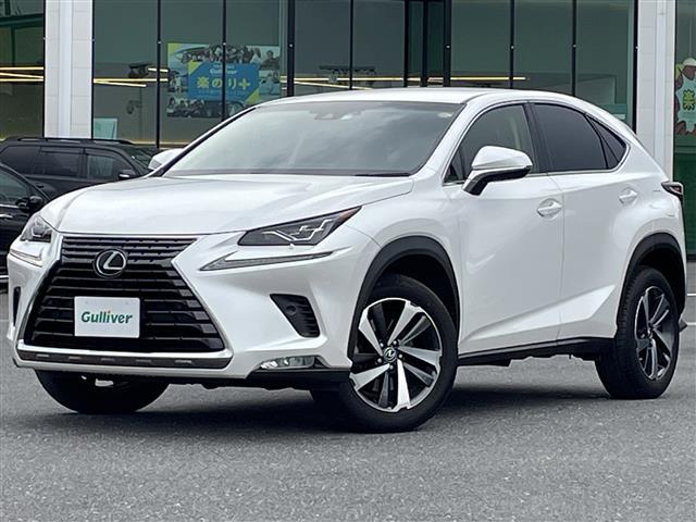 ＮＸ ＮＸ３００　Ｉパッケージ　レクサスセーフティセンス　純正ナビ　ＤＶＤ／Ｂｌｕ－ｒａｙ／ＤＴＶ／Ｂｌｕｅｔｏｏｔｈ／ＵＳＢ　サイド／バックカメラ　レーダークルーズ　レーンキープ　黒革シート　クリアランスソナー　三眼ＬＥＤ　ＥＴＣ（31枚目）
