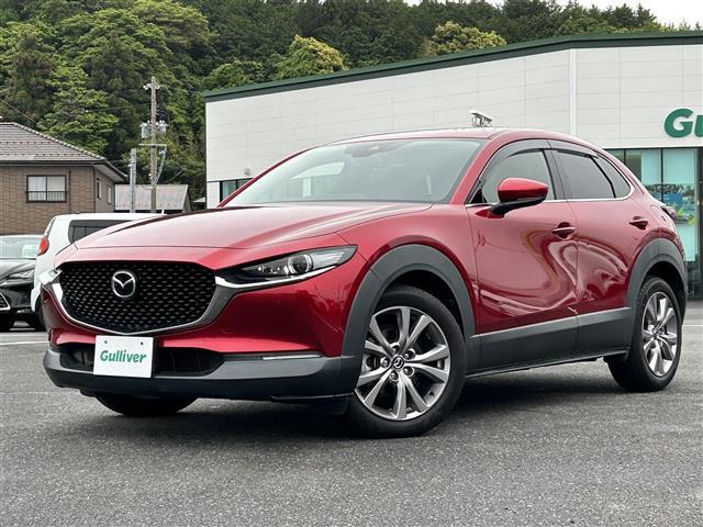 ＣＸ－３０ ２０Ｓ　プロアクティブ　ツーリングセレクション　スマートシティブレーキ　純正ナビ　ＤＶＤ／ＤＴＶ／Ｂｌｕｅｔｏｏｔｈ／ＵＳＢ　バックカメラ　レーダークルーズコントロール　ＬＥＤオートライト　オートハイビーム　ステアリングスイッチ　ＥＴＣ（32枚目）