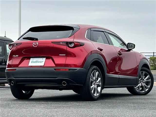 ＣＸ－３０ ２０Ｓ　プロアクティブ　ツーリングセレクション　スマートシティブレーキ　純正ナビ　ＤＶＤ／ＤＴＶ／Ｂｌｕｅｔｏｏｔｈ／ＵＳＢ　バックカメラ　レーダークルーズコントロール　ＬＥＤオートライト　オートハイビーム　ステアリングスイッチ　ＥＴＣ（33枚目）